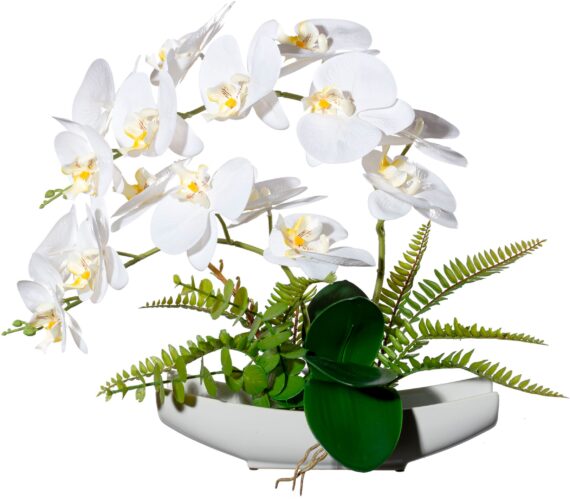 Creativ green Kunstorchidee "Orchidee Phalaenopsis in Keramikschale", mit Real-Touch-Blüten