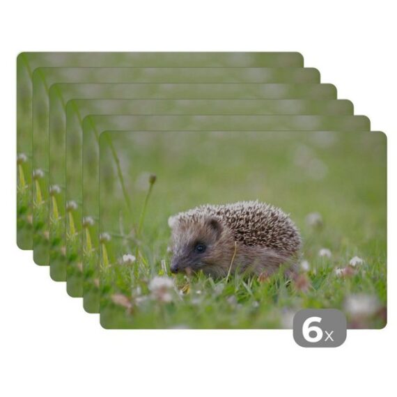 Platzset, Kleiner Igel im Gras, MuchoWow, (6-St), Platzset, Platzdecken, Platzmatte, Tischmatten, Schmutzabweisend