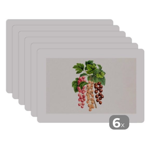 Platzset, Lebensmittel - Beeren - Pflanze, MuchoWow, (6-St), Platzset, Platzdecken, Platzmatte, Tischmatten, Schmutzabweisend
