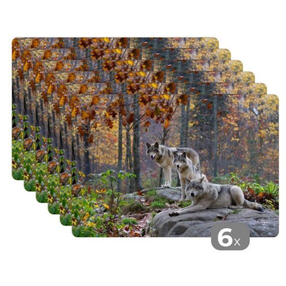 Platzset, Wolf - Herbst - Wald, MuchoWow, (6-St), Platzset, Platzdecken, Platzmatte, Tischmatten, Schmutzabweisend