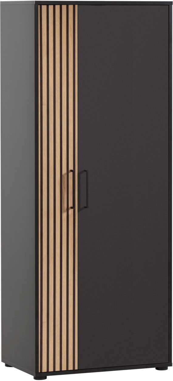 Schildmeyer Aktenschrank "Hank, MADE IN GERMANY, Breite 65 cm", Linke Tür mit Akustikprint, Metallbeschläge, Softclose-Funktion