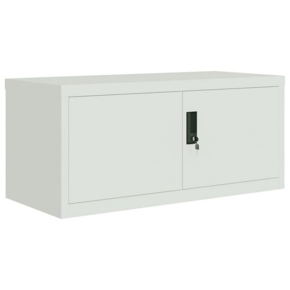 furnicato Aktenschrank Hellgrau 90x40x40 cm Stahl