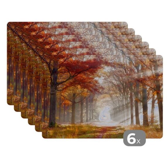 MuchoWow Platzset Herbst - Wald - Baum, (6-St), Platzset, Platzdecken, Platzmatte, Tischmatten, Schmutzabweisend