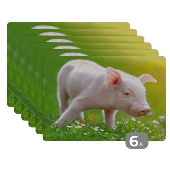 MuchoWow Platzset Tiere - Ferkel - Schwein, (6-St), Platzset, Platzdecken, Platzmatte, Tischmatten, Schmutzabweisend