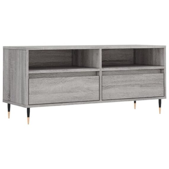 furnicato TV-Schrank Grau Sonoma 100x34,5x44,5 cm Holzwerkstoff (1-St)