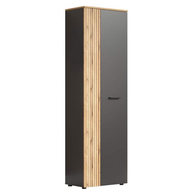 ebuy24 Kleiderschrank Esteban Kleiderschrank grau, Eiche dekor.