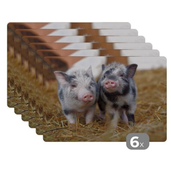 MuchoWow Platzset Schwein - Tiere - Ferkel, (6-St), Platzset, Platzdecken, Platzmatte, Tischmatten, Schmutzabweisend