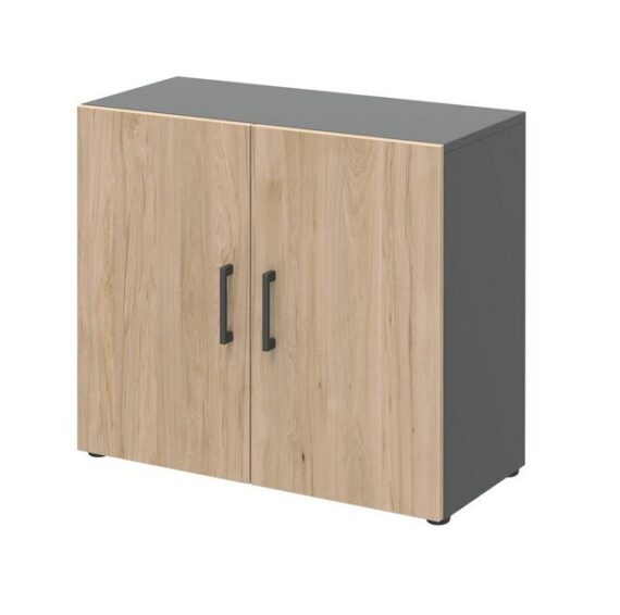 möbelando Aktenschrank 859 home.office by rb 80 x 72 x 34,4 cm (B/H/T)